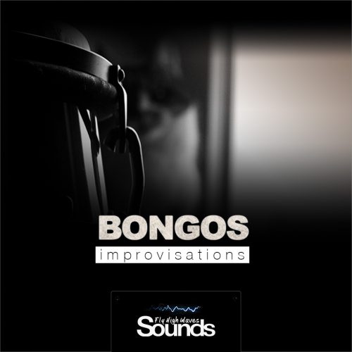 Bongos Improvisations | Sound Samples Library